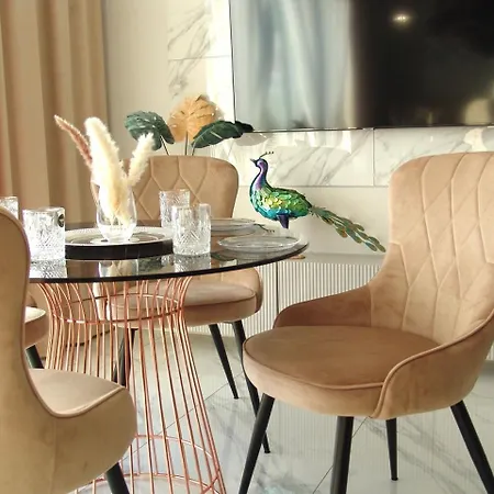 Zb Luxor Rogoznik Pyrzowice Apartment *