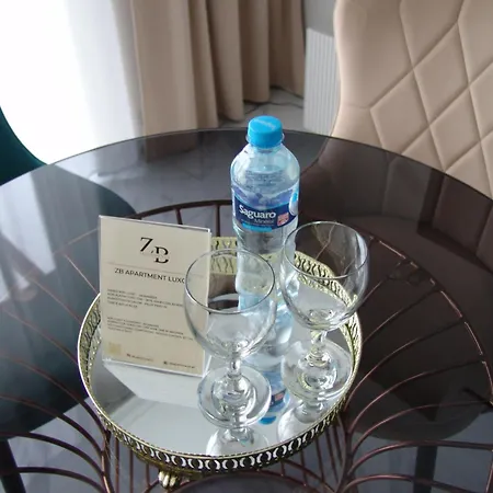 Διαμέρισμα Luxor 24h Parking Airport Pyrzowice Katowice
