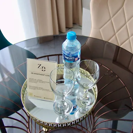 Apartament Luxor 24h Parking Airport Pyrzowice Katowice